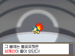 스타터 선택 화면